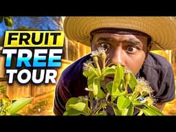 I Wish I knew this Before I Bought Fruit Trees #gardening