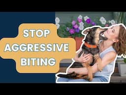 Stop Aggressive Puppy Biting Fast Proven Tips You Need to Know
