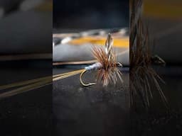 The Only Dry Fly You’ll Ever Need?