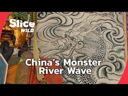The Silver Dragon: China’s Unstoppable River Wave | SLICE WILD | FULL DOC