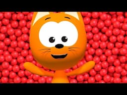 Best Videos Compilation and More Magical Stories for kids | meow meow