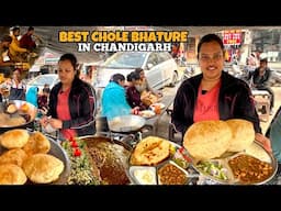 Most Famous CHOLE BHATURE OF Chandigarh | Breakfast in Chandigarh | Street Food India