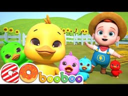 Five Little Ducks | Newborn Baby Songs | GoBooBoo Kids Songs & Nursery Rhymes