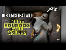 🐶 10 Sounds That Will Make Your Dog Fall Asleep 💤🎶😴 Peaceful Sounds for Dogs 🐕