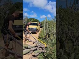 4x4-Track um die Peninsula Paraguaná - Venezuela 🇻🇪 #paraguana #venezuela #4x4 #short