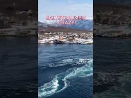 Saltstraumen Maelstrom in Norway