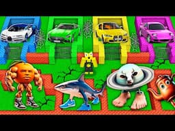 SURVIVAL IN MAZE LA VACCA SATURNO SATURNITA UDIN DIN DIN DIN DUN TA TA SAHUR WITH CAR in Minecraft!