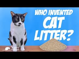 Who Invented Cat Litter?
