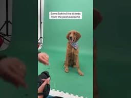 Stay tuned for the RESULTS! 🐶