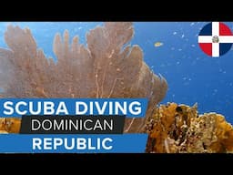 Scuba Diving in the Dominican Republic w/@GoDominicanRepublic