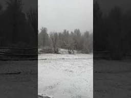 April showers….bring May??? #snowfall #springtime #offgrid #wheresthesun