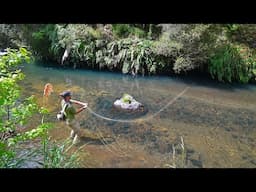 Amazing BackCountry Fly Fishing on New Zealand's North island