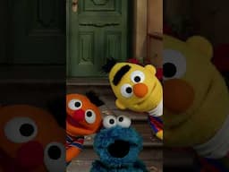 Peek-a-Boo Babies! #sesamestreet
