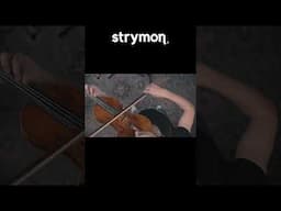 Cloudburst Plugin With Acoustic And Violin 🎻🌧 #guitarpedals