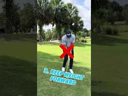 Downhill Chips