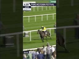 Marine Nationale wins at Punchestown