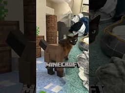 Alfie Has Been Digitised In To The Minecraft World #Minecraft #shorts