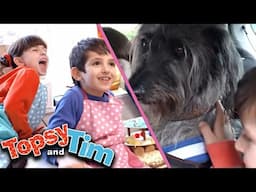 Topsy & Tim - Marble Run | Full Episode Compilation | Shows for Kids | HD