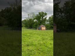 Weathering The Storms! # #homestead #storm #weather