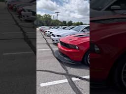 Our employees know how to show off their Mustangs 🔥 #latemodelresto #shorts