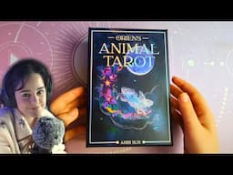 This or That with Tarot deck to RELAX and SLEEP 💤 ASMR