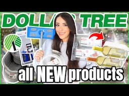 20 *NEW* Dollar Tree items YOU should buying this March 2025