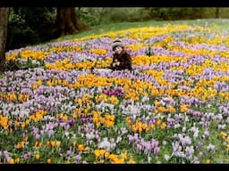 Fiona Davison on the RHS Digital Collections