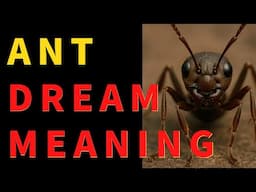 【Ant Dream Interpretation】 What Your Mind Is Hiding From You【 Dream Meaning】