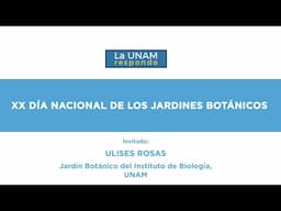 XX Día Nacional de los Jardines Botánicos. La UNAM responde 1123
