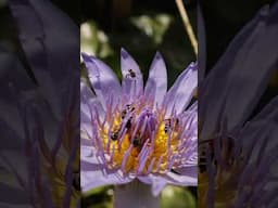 They might be tiny, but their impact is colossal.