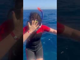 Добро пожаловать в Шарм-эль-Шейх 🩵🩵🩵