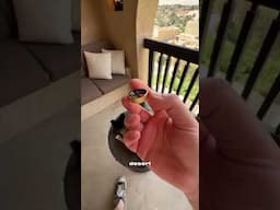 The Rarest Smart Ring Ever Made 😳🔥#ultrahuman q