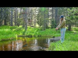 Escaping to the Wyoming Mountains | Learning Something New (catch & cook)