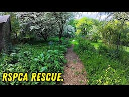 Rescuing RSPCA Preston! Dangerous Trees & Lost Memorial Garden