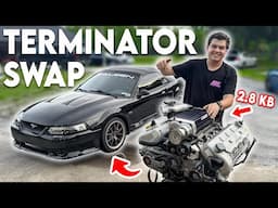 I'm Building an 800HP SVT COBRA Swapped Saleen!