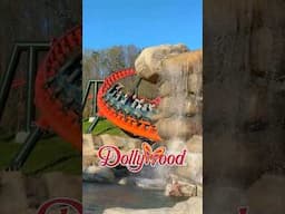 I rode the NEWEST roller coaster at Dollywood 🐻🎢
