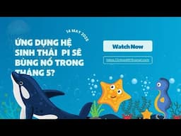 Ứng dụng hệ đỉnh thái Pi sẽ bùng nổ vào tháng 5?