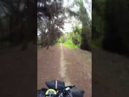 Cycling through Vasto