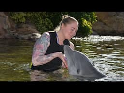 Discovery Cove- would I recommend??