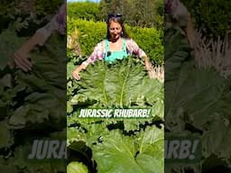 Secret to Growing MASSIVE PERENNIALS VEGETABLES