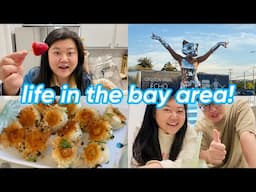 life in the bay area vlog (trying microwave tanghulu 🍓, new dumpling spot 🥟, cirque du soleil 🎪)