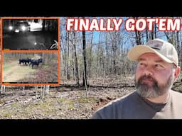 Taking Action Against Trespassers I Caught On Hidden Camera