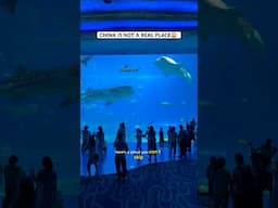 China Is Not A Real Place😱 #shortsfyp #chinavlog#ytshortsviral#travelchina