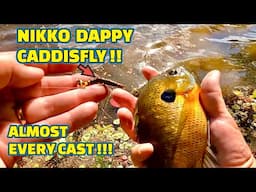 A DEADLY BLUEGILL / SHELLCRACKER CATCHING fishing BAIT !!!