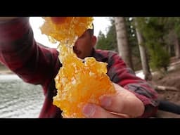 ASMR Catching Wild Fish & Eating Raw Honeycomb | Nature Sounds & Mukbang Eating Sounds