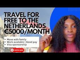 Netherlands Visa Sponsorship / Submit Your CV Now