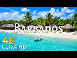 12 HOURS DRONE FILM: " BARBADOS in 4K " + Relaxation Film 4K ( Beautiful places in the world 4k ) #3