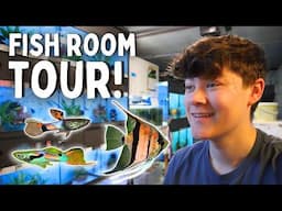 Breeding THOUSANDS of Fish in His Garage! Netherlands Fish Room Tour!