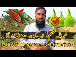 We Turned Failure into Profit with One Bold Move! Kareelay Gaye, Kaddu Aaya – Munafa Time 💰