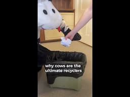 why cows are the ultimate recyclers | #shorts #sustainableagriculture